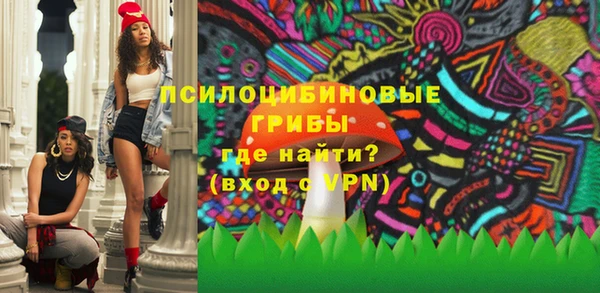 прущая мука Ладушкин