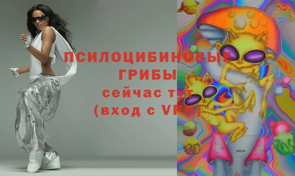 прущая мука Ладушкин
